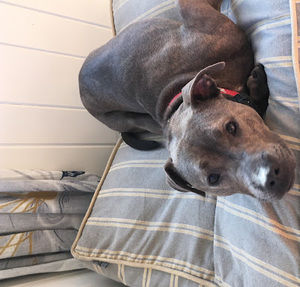 Meet your Posher, Will